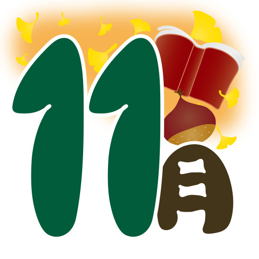 11月